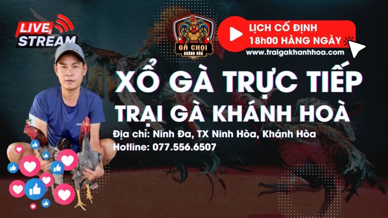 Video 8:07 ngày 30/7 – Trại Gà Tuấn Khánh Hoà